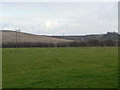 Field alongside Arnold Lane