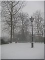 Arnot Hill Park During Snow Fall