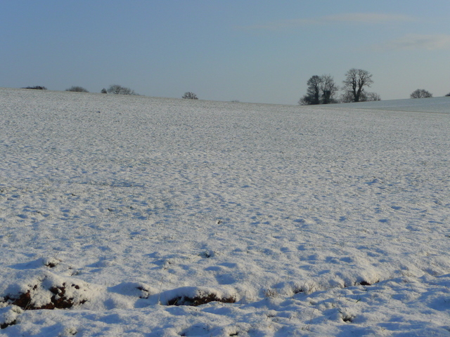 Snowy field at Bridstow