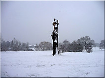 TQ3095 : Dead Tree, Oakwood Park, London N14 by Christine Matthews