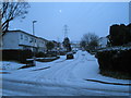 Looking up a snowy Greenwood Avenue