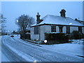 Falling snow in Medina Road