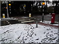 Bournemouth: zebra crossing in Manor Road