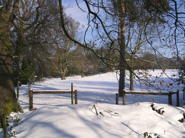 Snow covered meadow - Warley Place