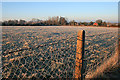 Frosty Field by Wenman Road