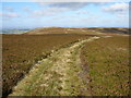 NT9127 : Moor land path over Newton Tors by Colin Park