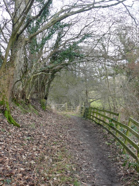 The track to the weir, Kirkoswald