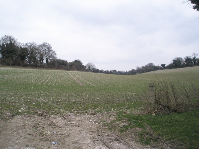 Field behind Dogkennel Cottages