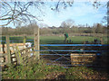 Sheep pen at The Pound