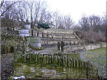SE4923 : Knottingley Amphitheatre by bernard bradley