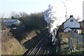 Bittern leaving Salisbury