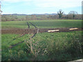 Farmland near Crowfield