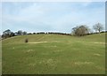 Farmland near Garshall House