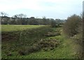 Moated site, Garshall Green