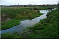 River Avon north of Downton