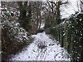 Footpath from Beulah Rd to Heol-y-Bont, Rhiwbina, Cardiff