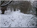 Path alongside Wenallt Road, Cardiff