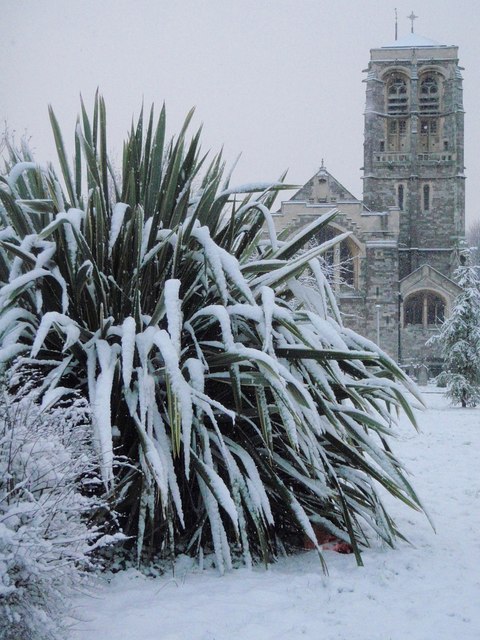 Snow in Exeter