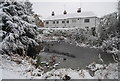 Bracken Cottage pond