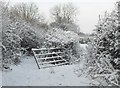 The old farm gate at the end of Hills Lane, Martock