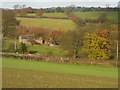 Ruined barn near Oxton Rakes.