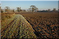 Ploughed field, near Guarlford