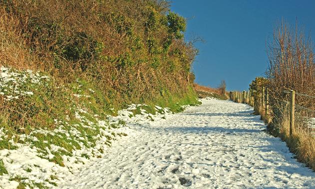 Scrabo snow scenes, Newtownards (2)