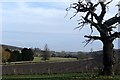 Farmland near Latimer Park Farm