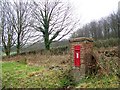 ST8244 : Edward VII postbox, Longhedge by Maigheach-gheal