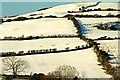 Snow in the Mournes near Kilcoo