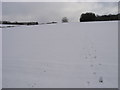 SU7993 : Snowy Footpath up the hill by Shaun Ferguson