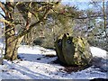 Boulder, bird and squirrel feeding station on Addycombe Hill