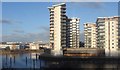 Blocks of flats by the River Ely