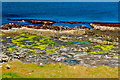 G7058 : Colourful Mullaghmore coast by Joseph Mischyshyn