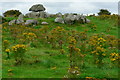 G6633 : Carrowmore Megalithic Cemetery by Joseph Mischyshyn