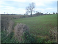 Mixed farmland west of Field Cottage