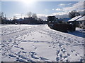 Shaftesbury: a normally green patch alongside Bleke Street