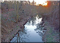 Hogsmill river