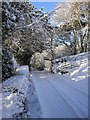 The Farm Road to Skelfhill Farm