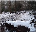 Snow and mud in Cragg Wood