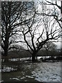 A winter scene in the grounds of Guildford Cathedral