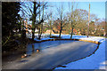 Frozen pond, Risby village green