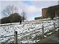 Walking the dog on a snowy Stag Hill