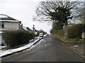 Looking westwards along Alresford Road