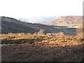 Moorland above Braeintra