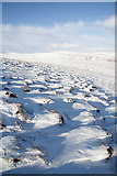 NT2219 : Snow-covered tussocks on Oxcleuch Rig by Walter Baxter
