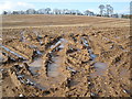 Muddy field, near White Cross