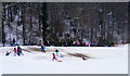 Fun in the Snow at  Grant Park