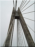 ST1797 : Chartist Bridge by pennie winkler
