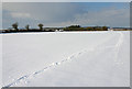 SP2711 : Snow near Widford by Martin Loader